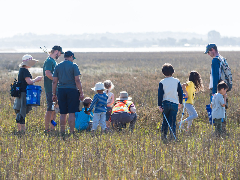 Adults and children examine the marsh ecosystem up close.