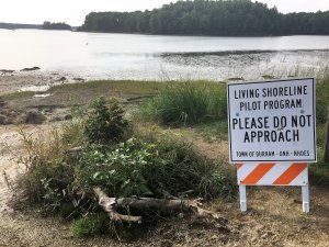 Vegetation planted along a coastline. A white sign with black text and orange caution stripes reads, "Living Shoreline Pilot Program: Please Do Not Approach."