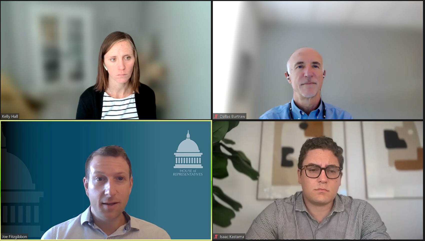 Zoom screenshot of panelists from the webinar