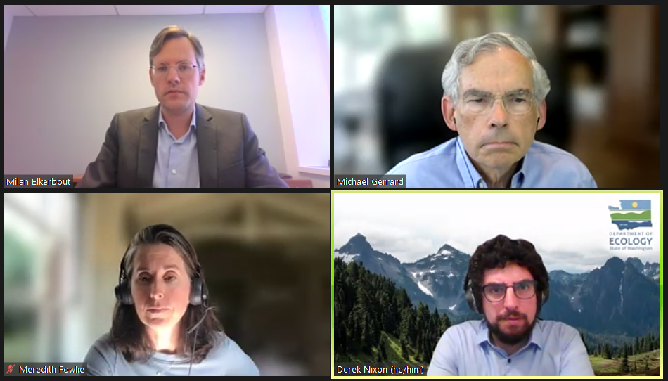 Screenshot of panelists discussing