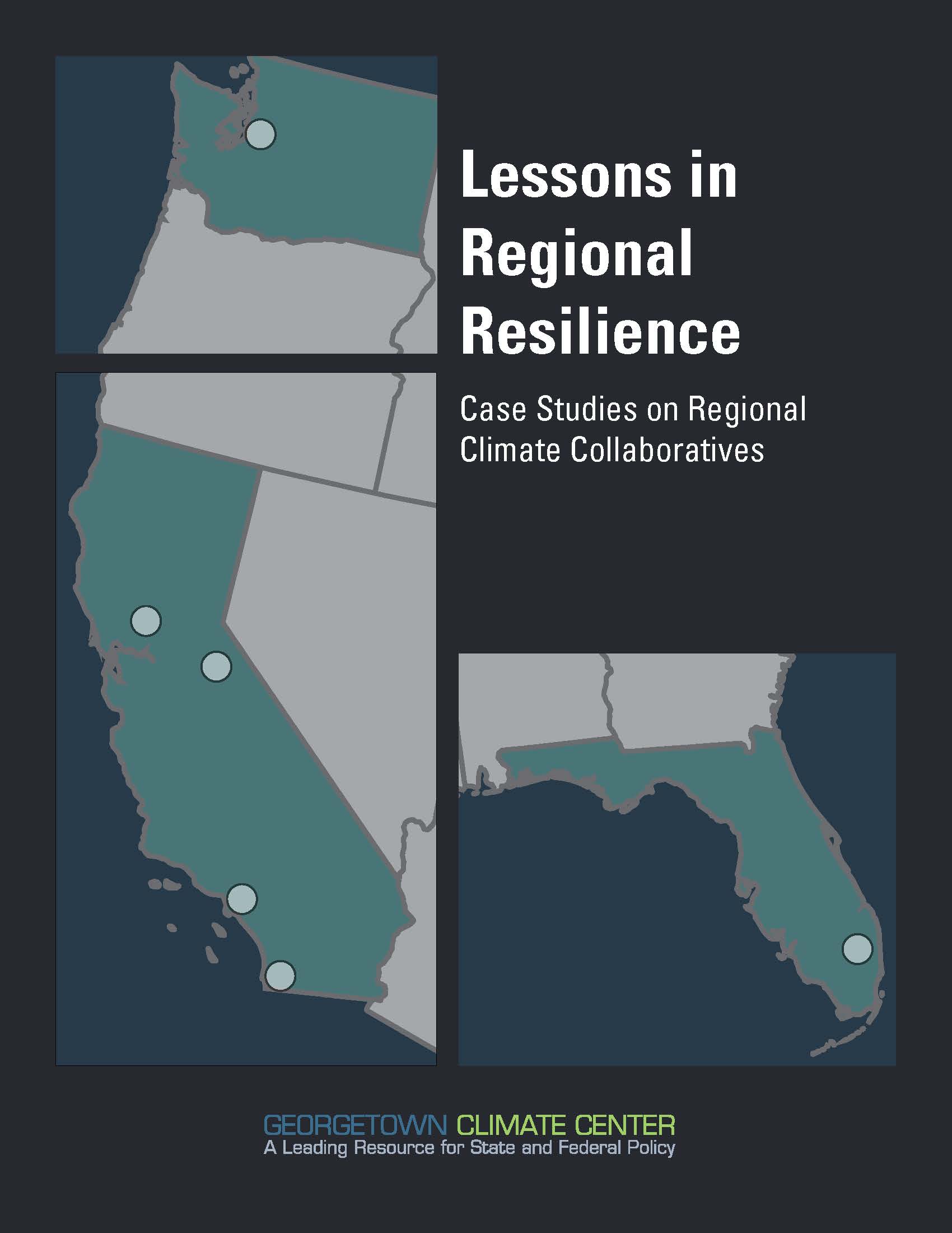 Lessons in Regional Resilience