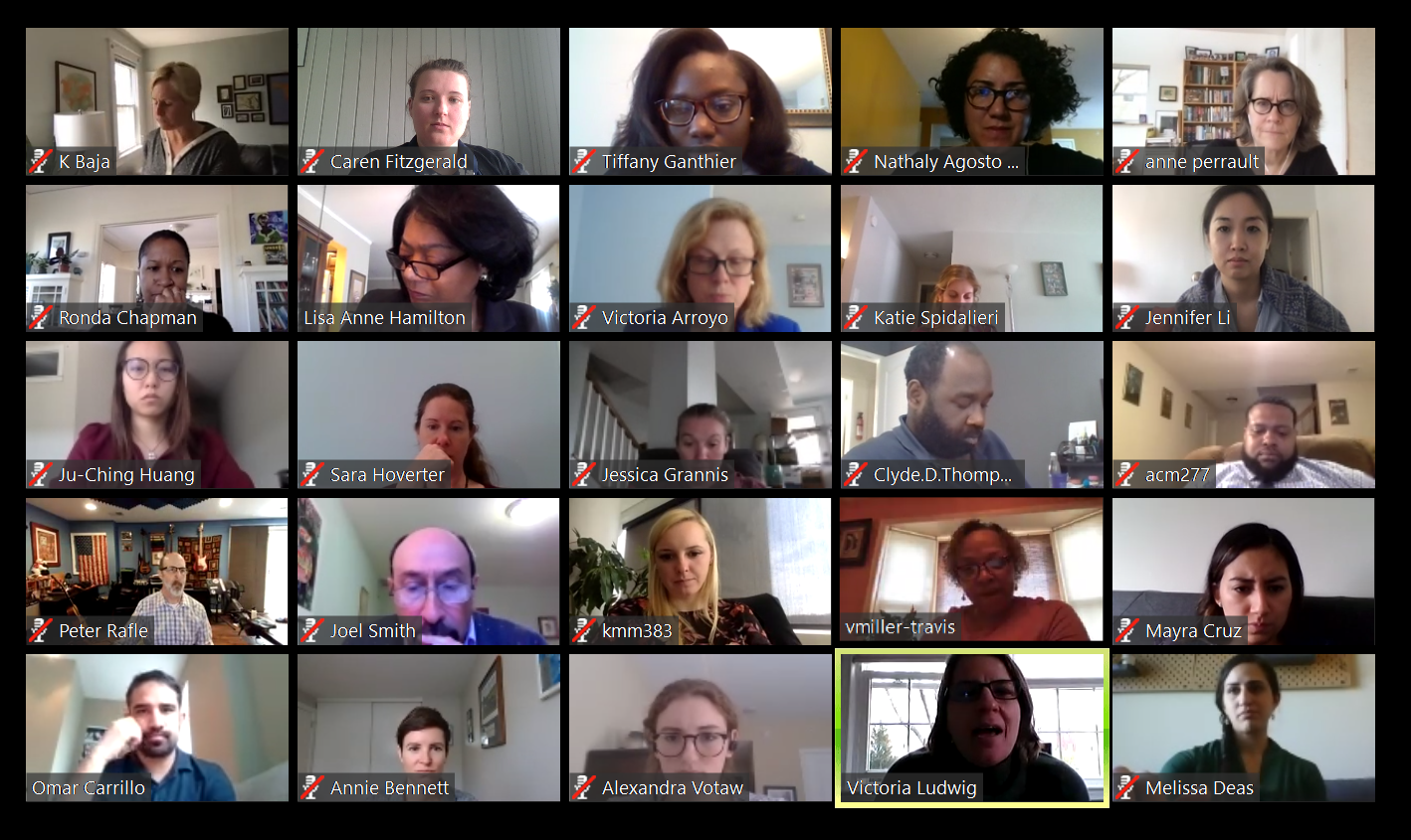 A screenshot of a zoom call with GCC staff and advisors for the toolkit. There are 25 diverse participants from community-based organizations, non-profits, and other experts.