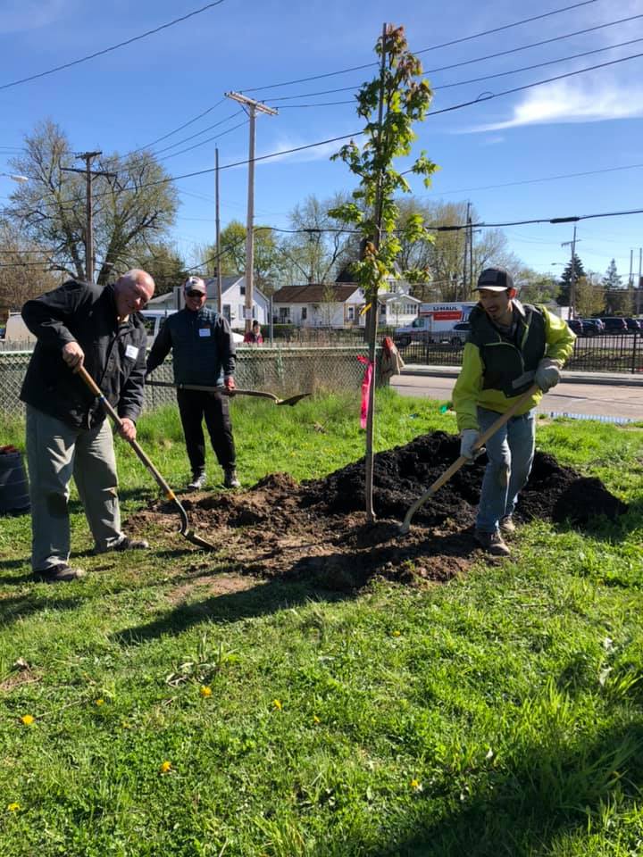 Three men pose with shovels and smile at the camera, in the process of planting a juvenile tree in a Cleveland neighborhood.